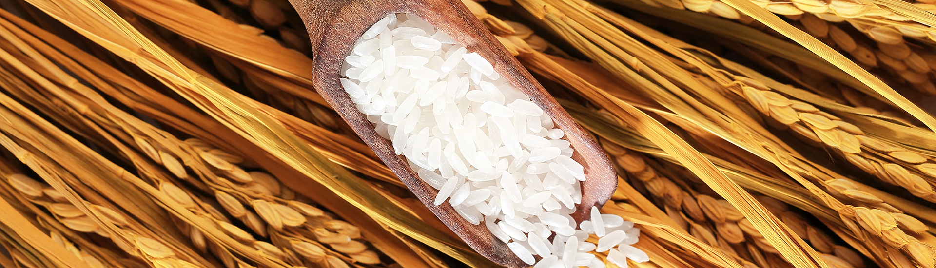 首页| 6008集团官方网站有限公司